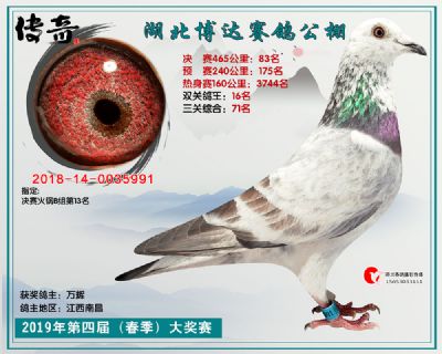 湖北博达决赛83名
