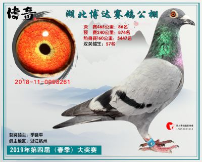 湖北博达决赛86名