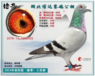 湖北博达决赛88名