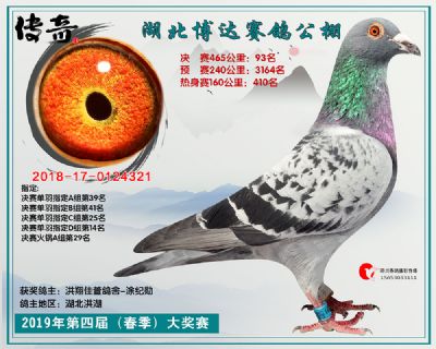 湖北博达决赛93名