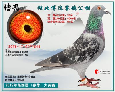 湖北博达决赛96名