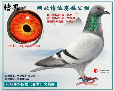 湖北博达决赛95名