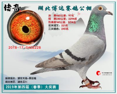 湖北博达决赛97名