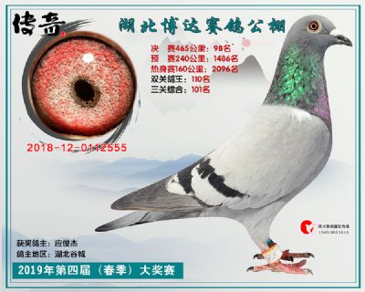 湖北博达决赛98名