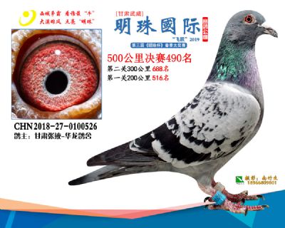 2019武威明珠490