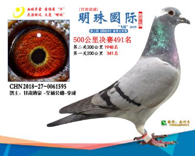 2019武威明珠491