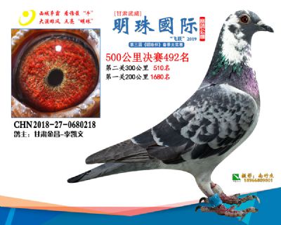 2019武威明珠492