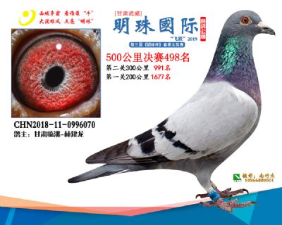 2019武威明珠498