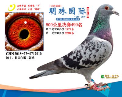 2019武威明珠499