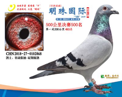 2019武威明珠500