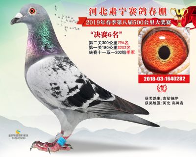 肃宁春棚决赛6名