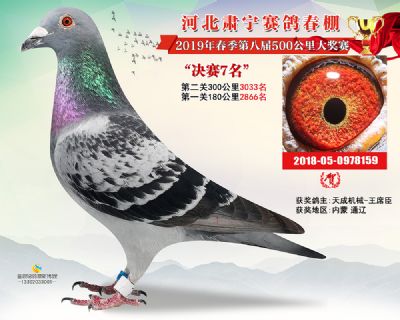 肃宁春棚决赛7名