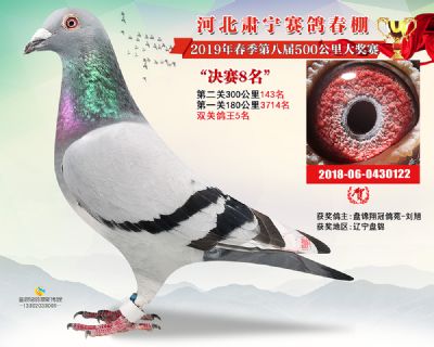 肃宁春棚决赛8名