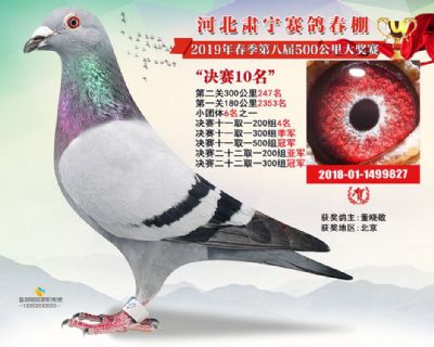 肃宁春棚决赛10名
