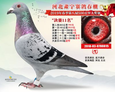 肃宁春棚决赛11名