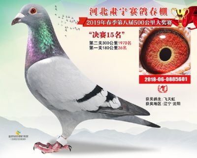 肃宁春棚决赛15名