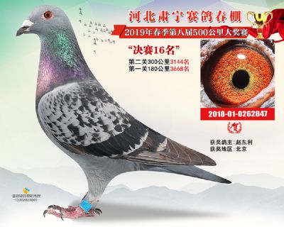 肃宁春棚决赛16名