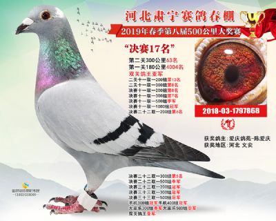 肃宁春棚决赛17名