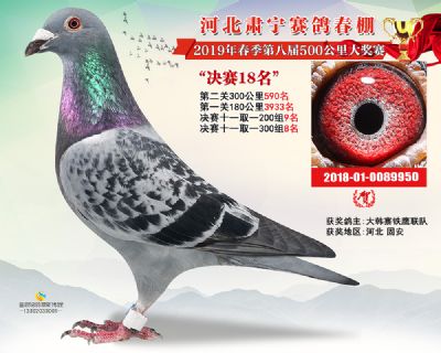 肃宁春棚决赛18名