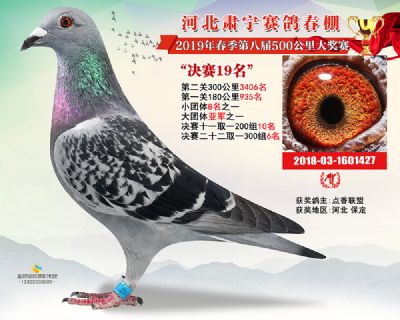 肃宁春棚决赛19名