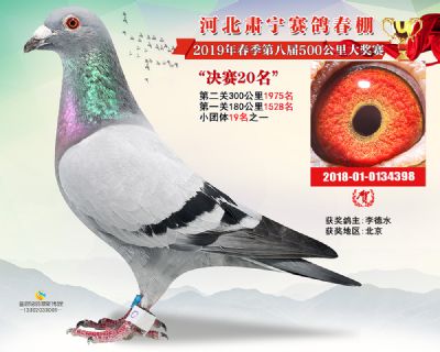 肃宁春棚决赛20名