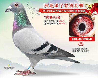肃宁春棚决赛24名