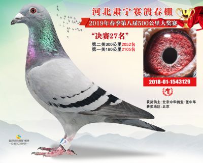 肃宁春棚决赛27名