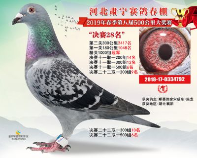 肃宁春棚决赛28名