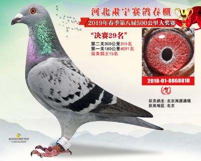 肃宁春棚决赛29名