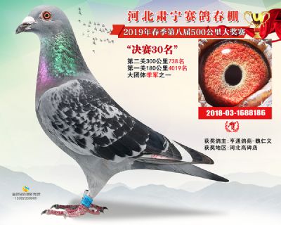 肃宁春棚决赛30名