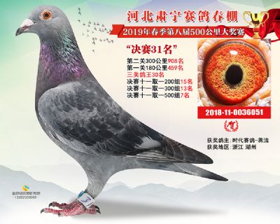 肃宁春棚决赛31名