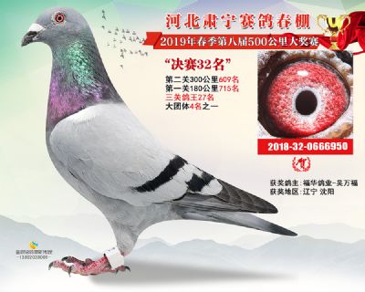 肃宁春棚决赛32名