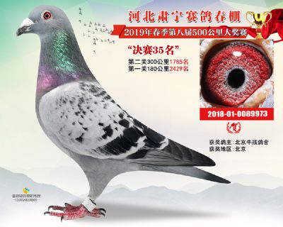 肃宁春棚决赛35名