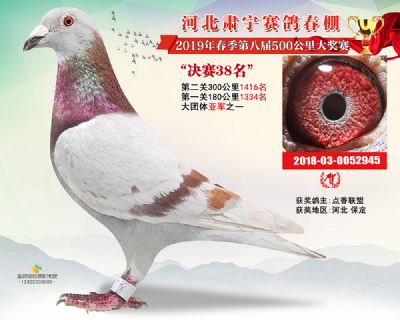 肃宁春棚决赛38名
