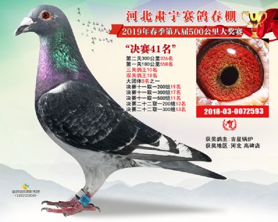 肃宁春棚决赛41名