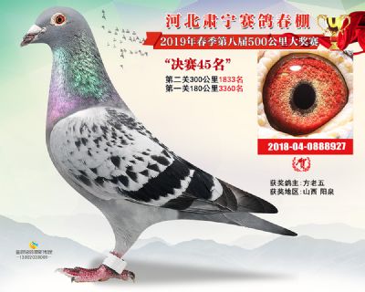 肃宁春棚决赛45名