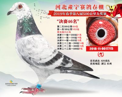 肃宁春棚决赛46名
