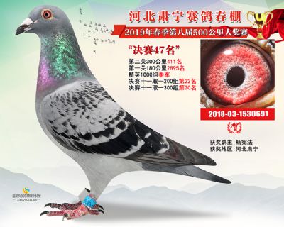 肃宁春棚决赛47名