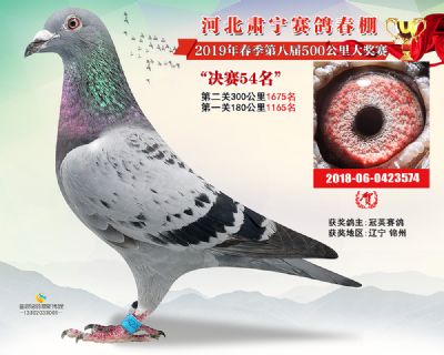 肃宁春棚决赛54名
