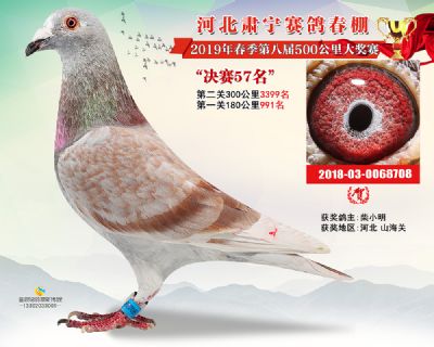 肃宁春棚决赛57名