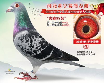 肃宁春棚决赛58名
