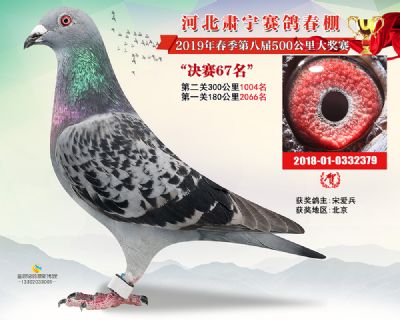 肃宁春棚决赛67名
