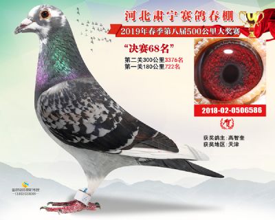 肃宁春棚决赛68名