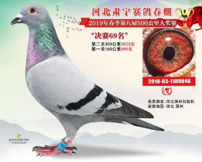 肃宁春棚决赛69名