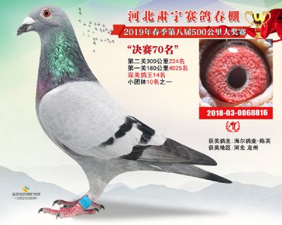 肃宁春棚决赛70名