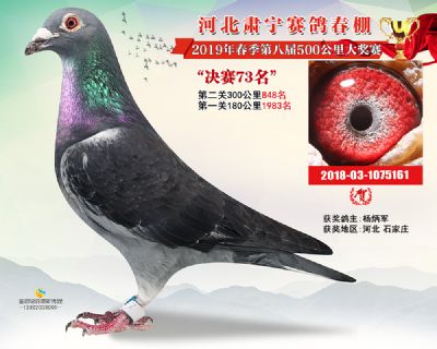 肃宁春棚决赛73名