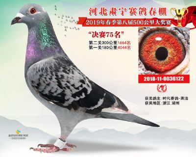 肃宁春棚决赛75名