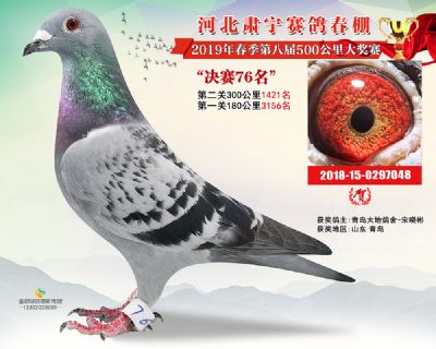 肃宁春棚决赛76名