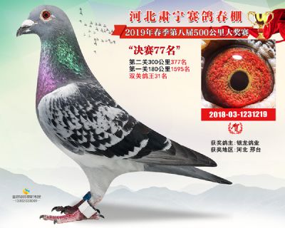 肃宁春棚决赛77名