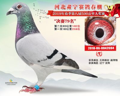 肃宁春棚决赛79名